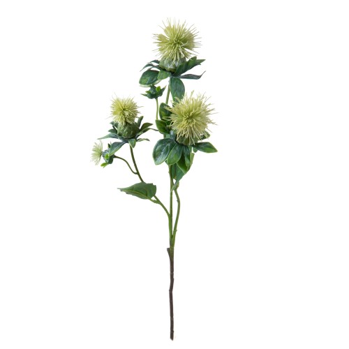 CARTHAMUS 57 CM X 3 Verde