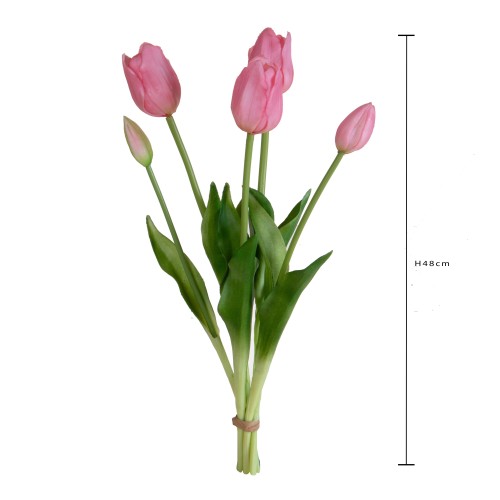 TULIPANO MAZZO 5 PZ 48 CM Rosa