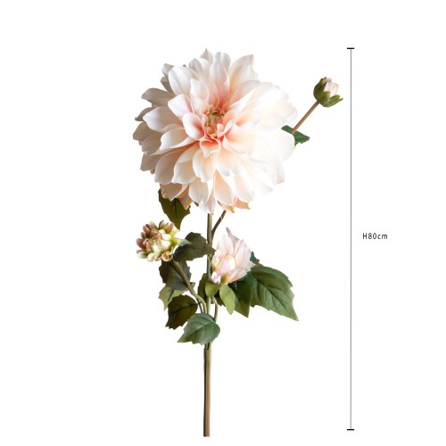 Dalia 80 Cm  Rosa