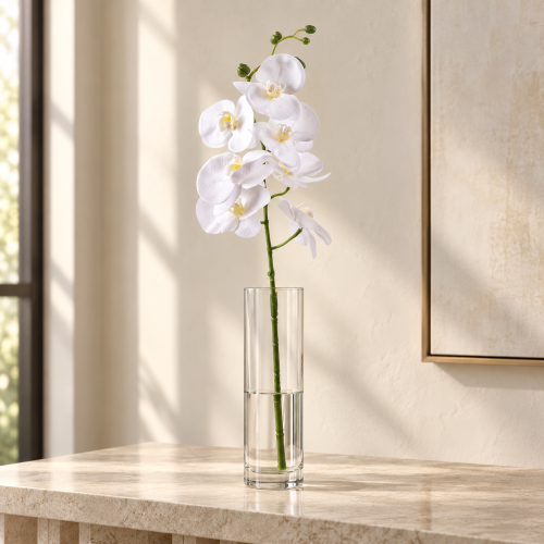 PHALAENOPSIS X 7 96 CM Bianca
